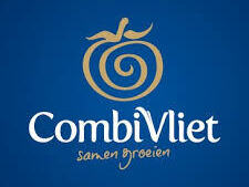 Combivliet.jpeg